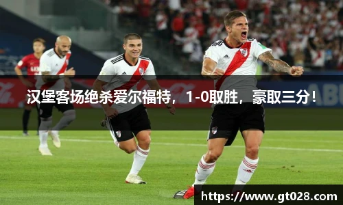汉堡客场绝杀爱尔福特，1-0取胜，豪取三分！