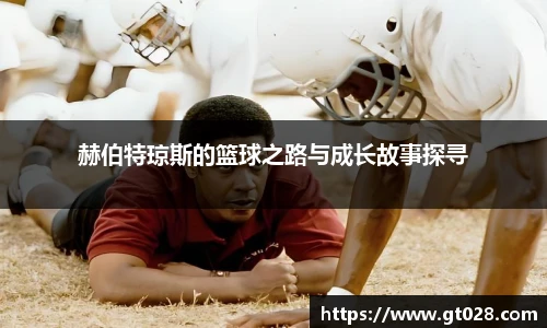 678体育官网入口